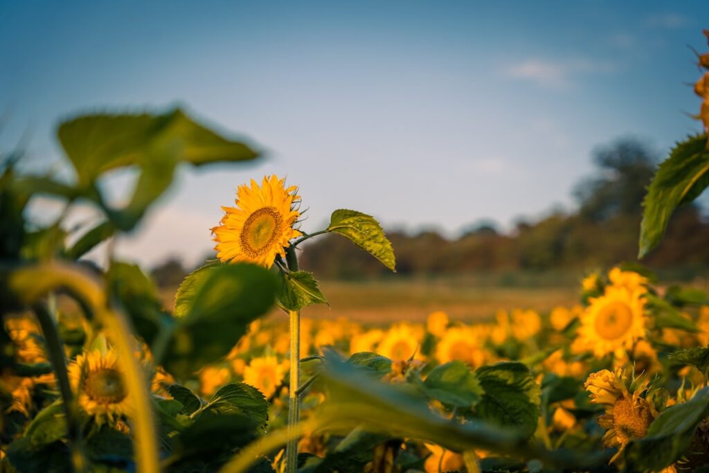Cele mai comune greșeli în afaceri și cum să le eviți