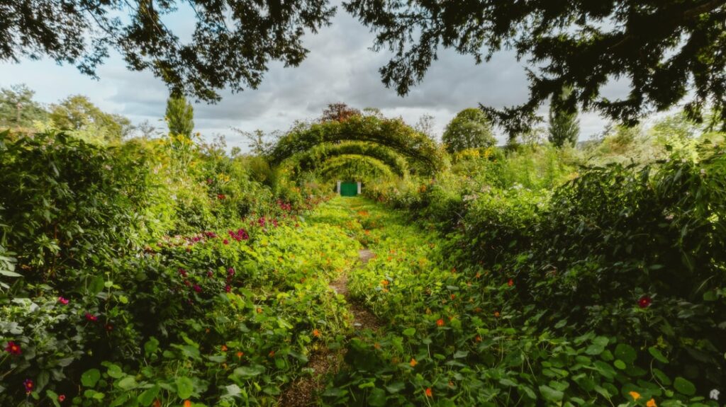 Cum să transformi balconul într-un spațiu verde plin de viață