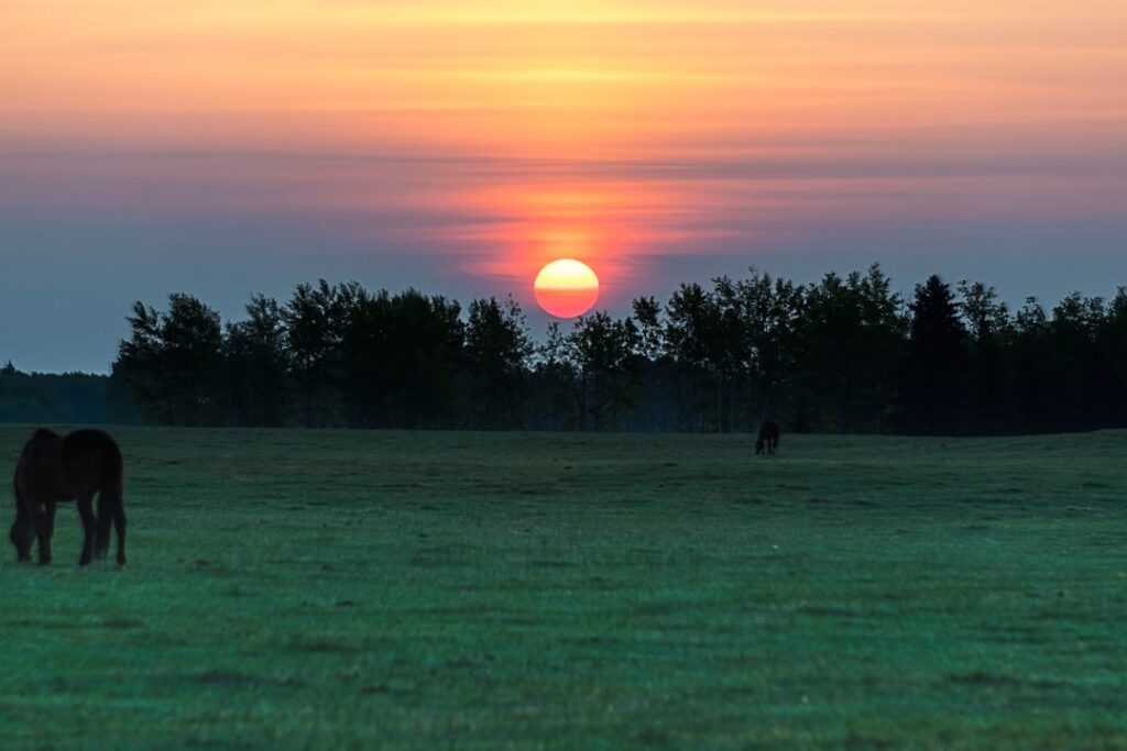 Sfaturi pentru a depăși procrastinarea și a acționa