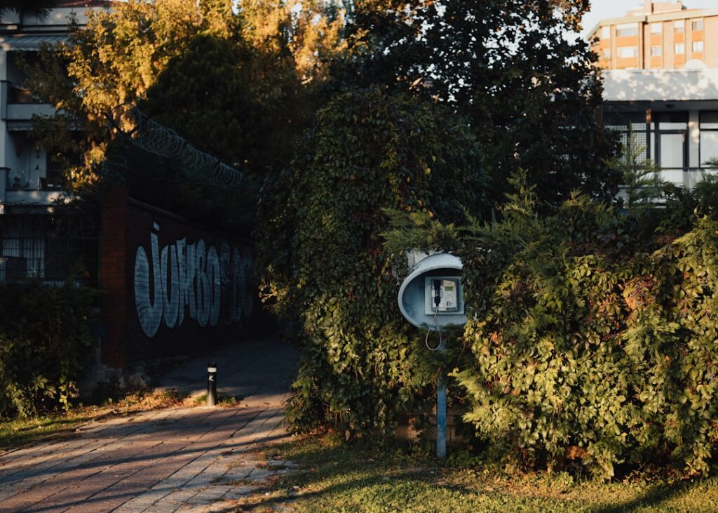 Rolul spațiilor verzi în dezvoltarea urbană