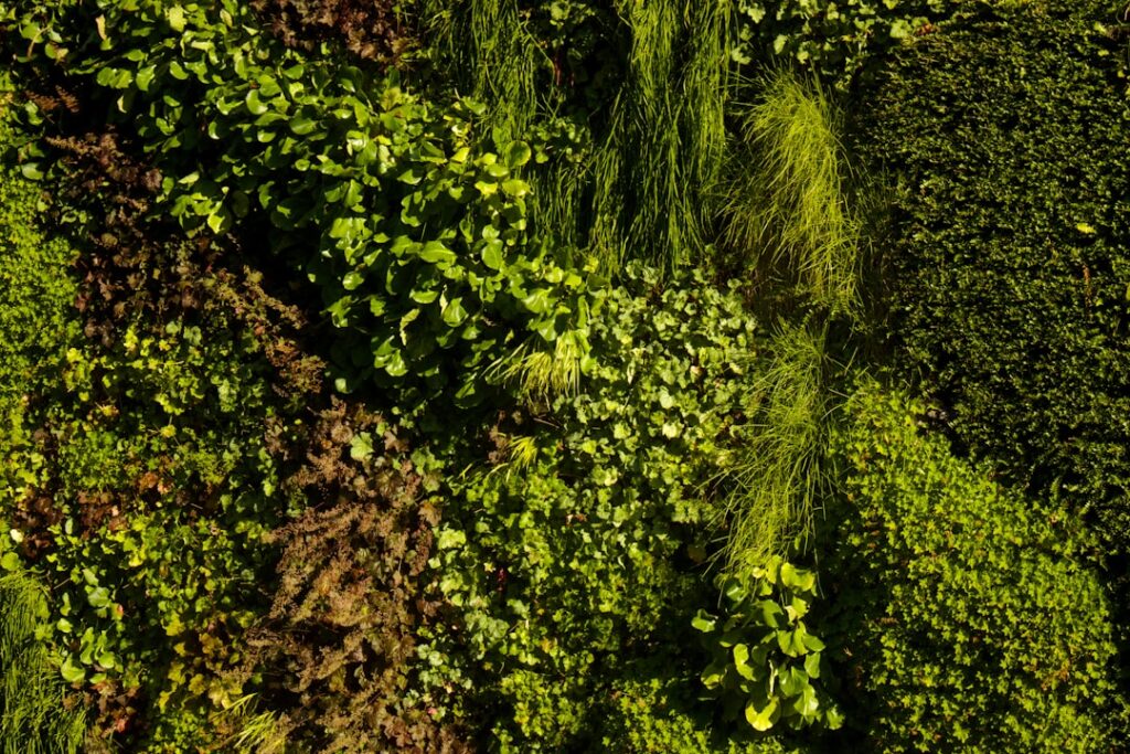 Ghid pentru grădinile urbane și spațiile mici