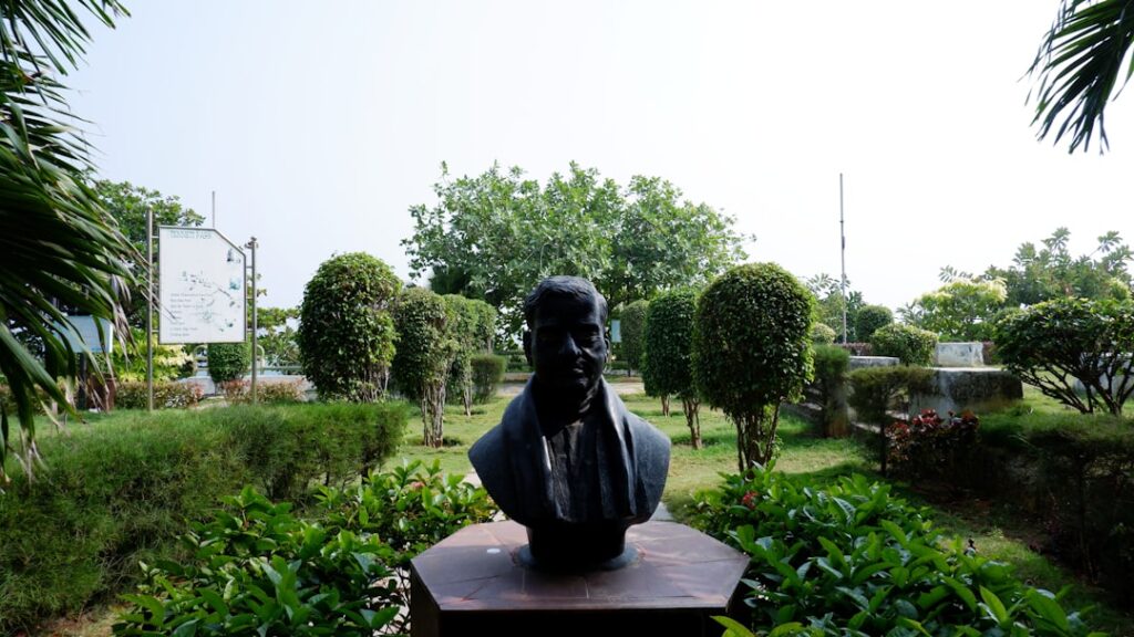 Rolul spațiilor verzi în designul urban modern