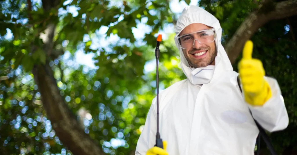 Deratizare si Dezinsectie Bucuresti – Solutii Profesionale pentru un Mediu Curat