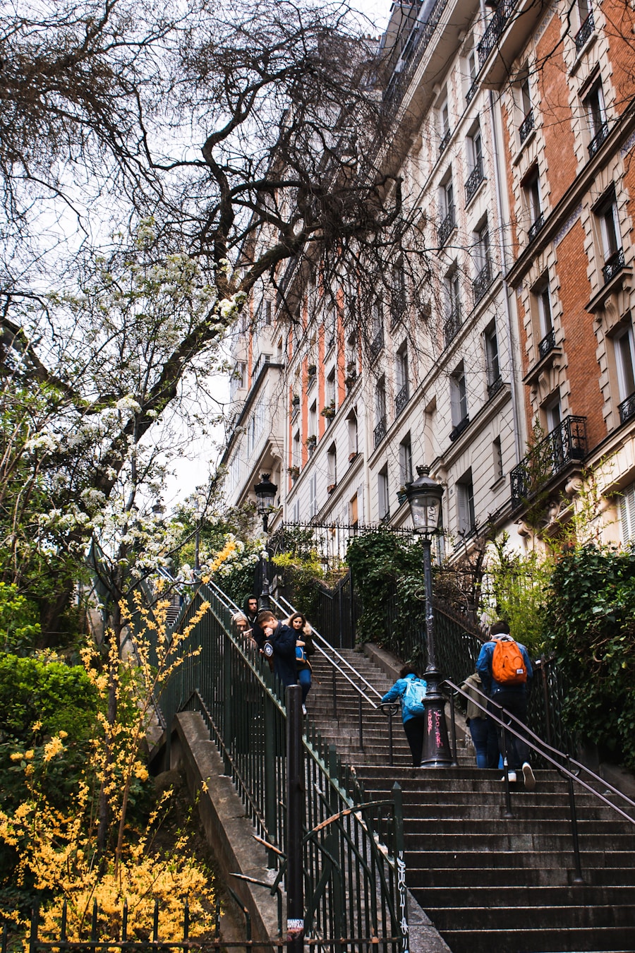 Photo "The complete guide to living healthily in the city"