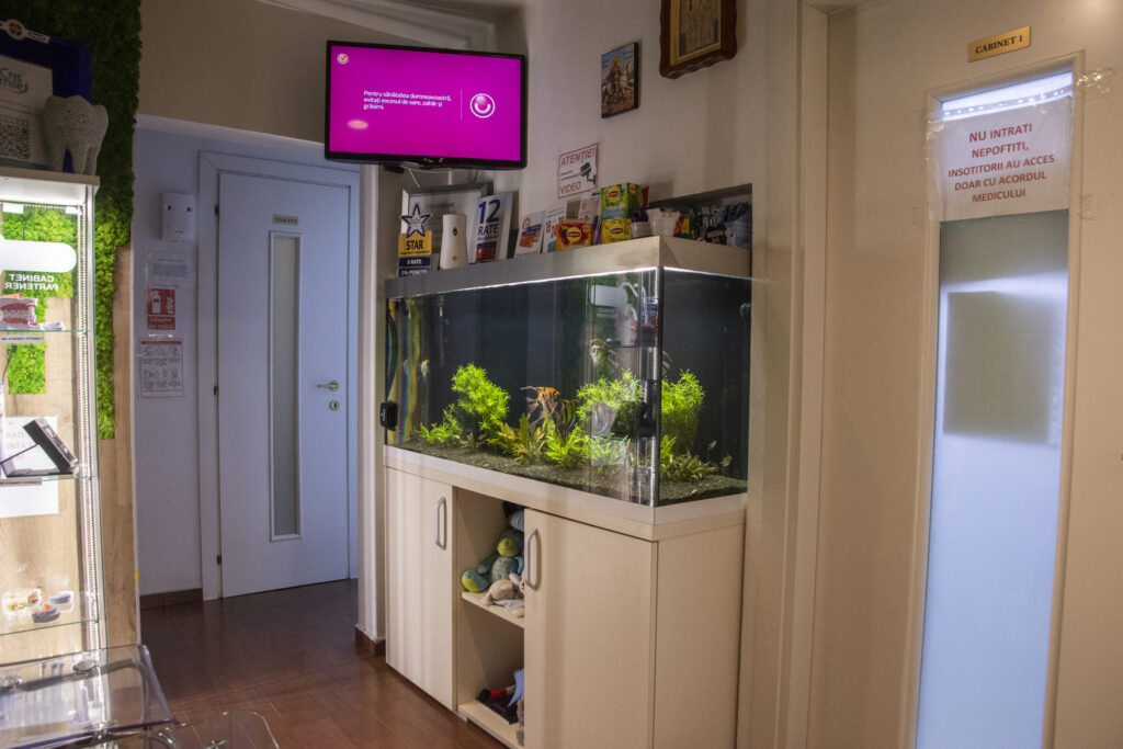 Îngrijire stomatologică completă pentru sănătatea dentară a copiilor