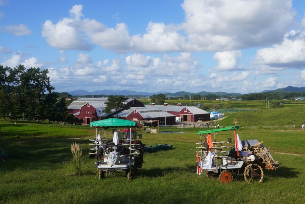 Cum să dezvolți turismul gastronomic rural