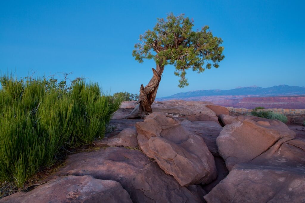 Cum să dezvolți turismul de aventură în zona ta