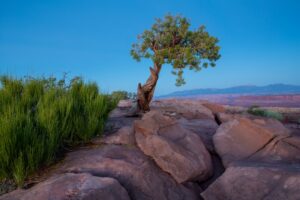 Photo adventure tourism