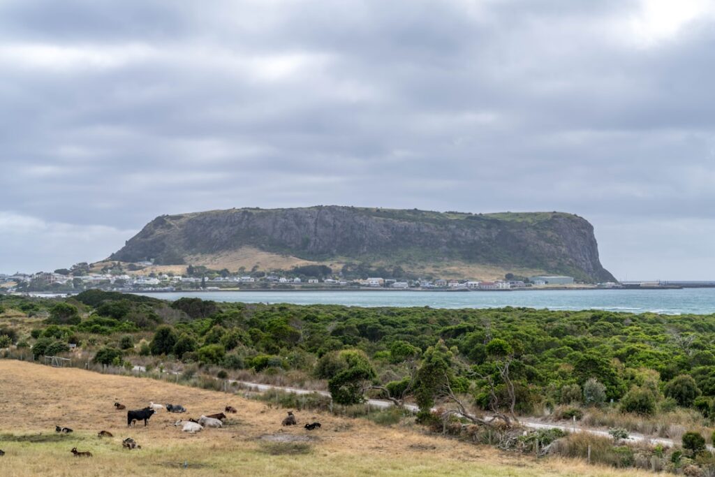 Cum să dezvolți turismul rural prin colaborări locale