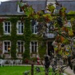 Cum să organizezi tururi de degustare de vinuri