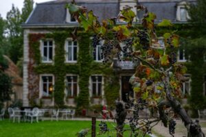 Photo wine tasting tours