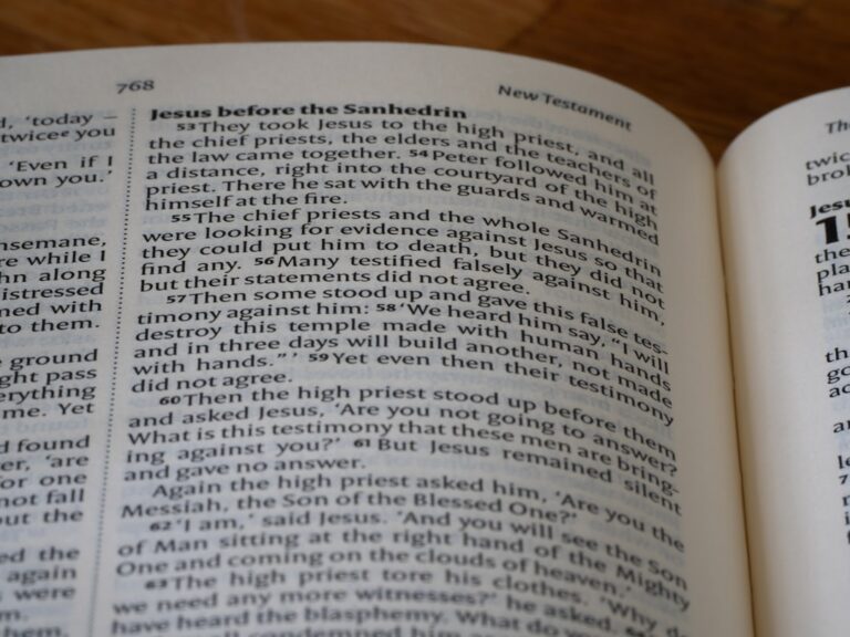 Explorând istoria cartierului: Cronica comunității tale